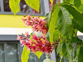 Frühling 354x235-10.jpg